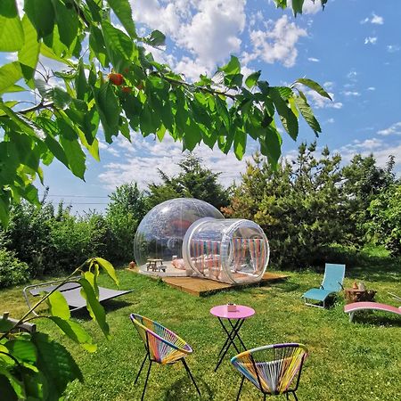 La Bulle Des Champs Bed and Breakfast Champmotteux Exteriör bild